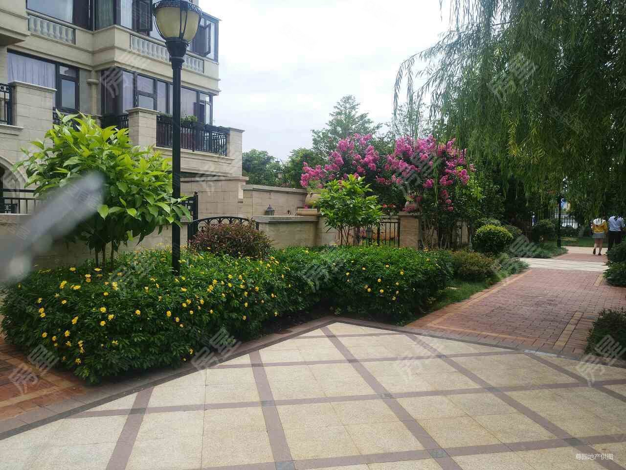 公园1903蒙塔溪 206平 5室 443万