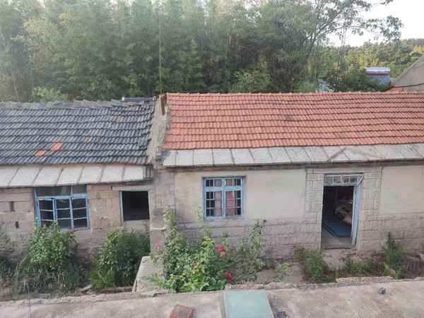 青岛崂山崂山周边浦里村自建房崂山王哥庄王山口村平房,正房7间带院子