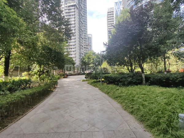 贵阳云岩三桥金龙星岛国际金龙星岛国际 3室 整租 电梯房 押一付三