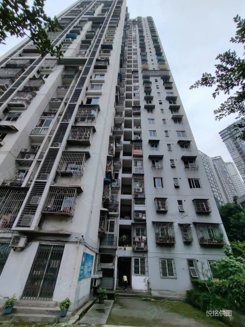 必看特价房,钱塘玫瑰湾,地铁房,精装大两房,拎包入住.