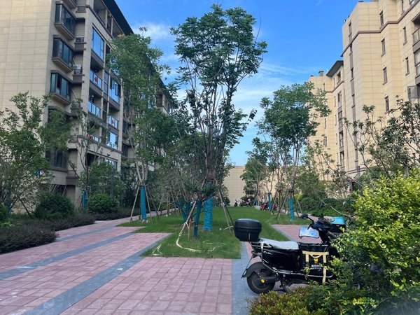 无锡新吴新安宝龙世家(c区)宝龙c区三室一厅出租,佛系租房出租房源