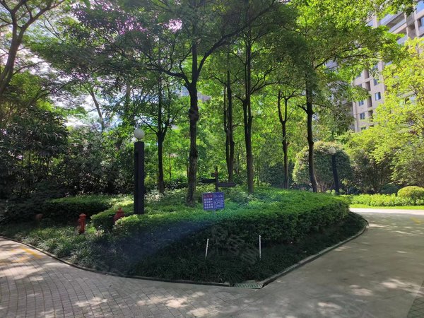 区政府中海吾悦广场附近 5号线地铁口金桥站 盛天东郡,兴宁租房-南宁