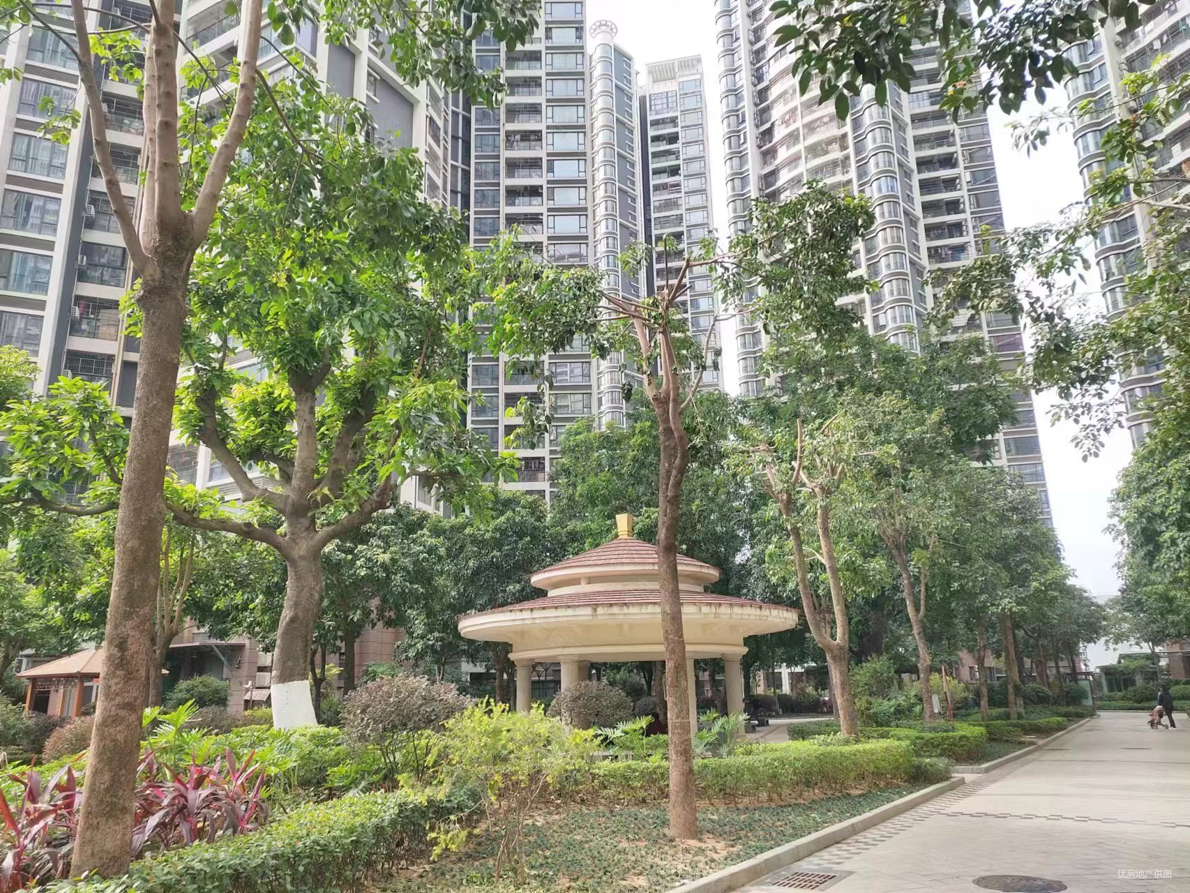 骏景湾品峰单价9字头手符随意小区环境优美