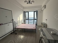 蚌埠蚌山新城区银泰旁瀚林公寓出租 精装保养好 定制的衣柜 采光刺眼出租房源真实图片