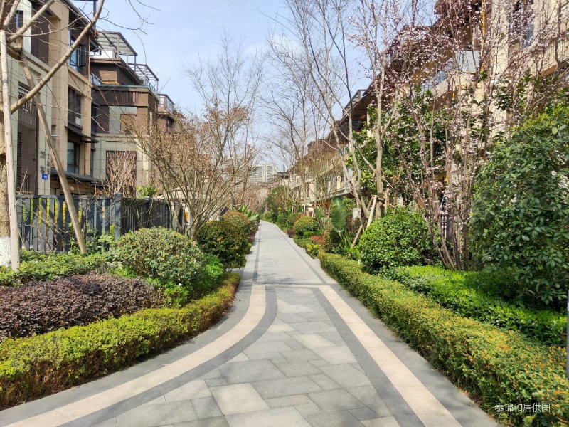 花样年南区(别墅区)临河联排 上下共5层 有电梯井可到负二层