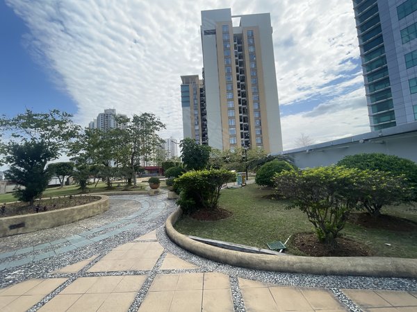 东莞莞城罗沙地王广场(三期)地王广场(三期) 1室1厅1卫 南北通透 49平