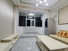 49街区精装修一室一厅，13校，大众209.208.206