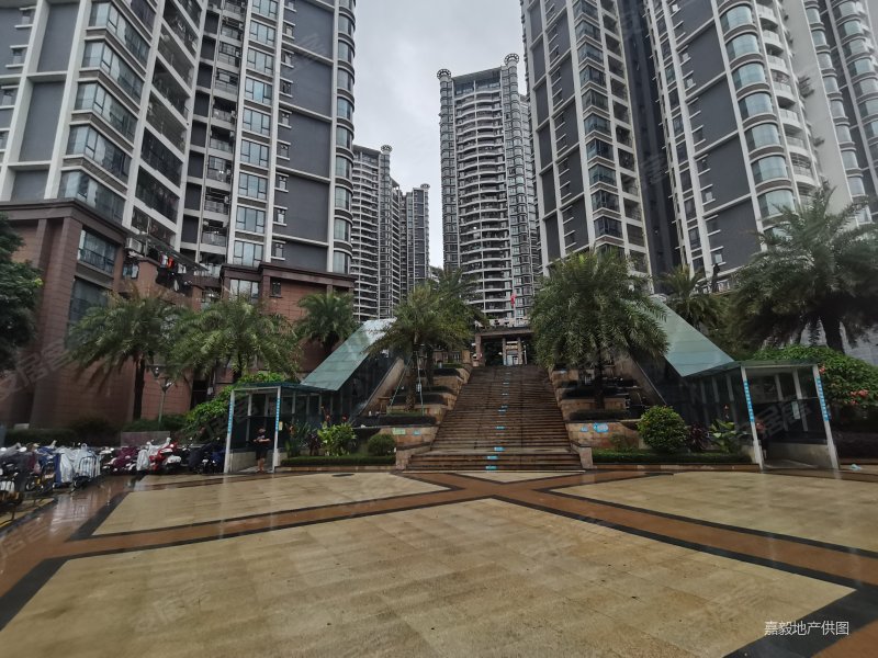 骏景湾品峰