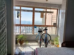 临沂平邑城区光线充足价格可以,光线充足出租房源真实图片