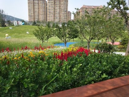 翠竹园,世昌大道 威海翠竹园二手房,租房,房价-威海安居客