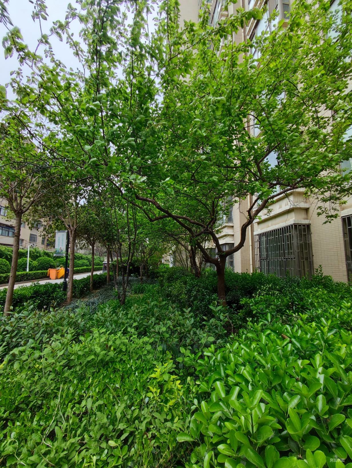 启福尚都公务员小区电梯洋房大平层出售