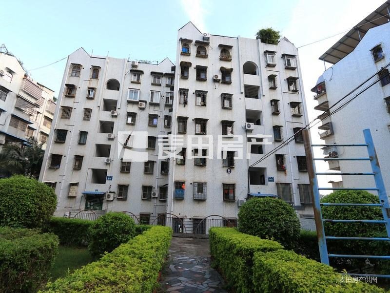 厦门二手房 湖里二手房 东渡二手房 金海花园