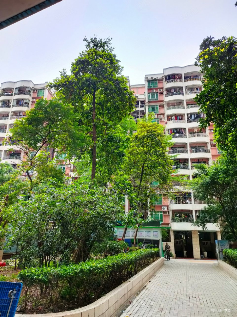 富景花园65方南向两房采光好富景一套