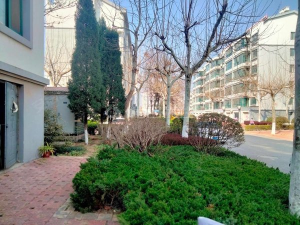 青岛莱西周格庄宏远书香门第急租一楼带院,书香门第陪读房,价格便宜