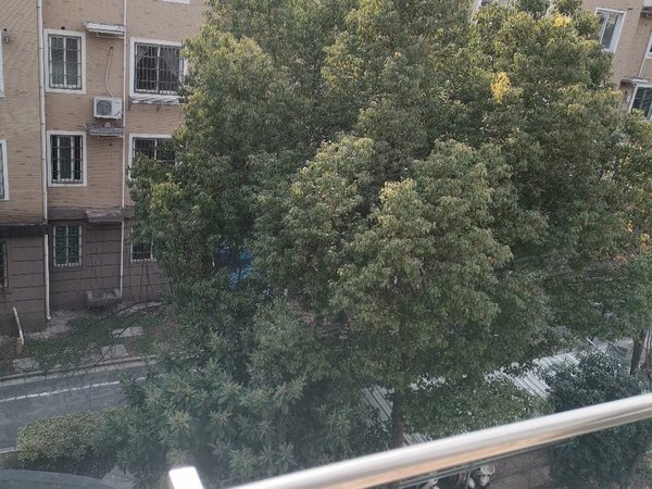 蚌埠蚌山新城区戴湖桃李园一楼宝龙银泰慕远学校旁戴湖桃李园小区出租