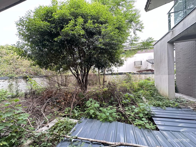 倚林佳园合院别墅,边套大花园280平500万毛柸,随时可以看