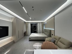 漯河郾城漯河国际会展中心淞江美食街 中城公馆 精装一室一厅 家具家电齐全 拎包入住出租房源真实图片