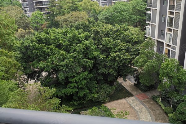 保利花园(二期)怎么样,保利花园(二期)周边房产中介经纪人评价-佛山