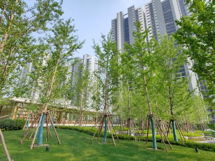 大正水晶森林1期优点,不足,大正水晶森林1期怎么样,大正水晶森林1期