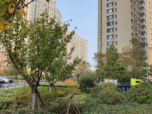 青岛市北信息城普吉新区大港 普吉新区 大套三 可做宿舍 随时入住出租房源真实图片