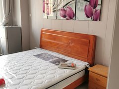 沛县九龙城大风歌广场九龙城 700元 凤凰公馆 雨润城一室空调热水器洗衣机家具床出租房源真实图片