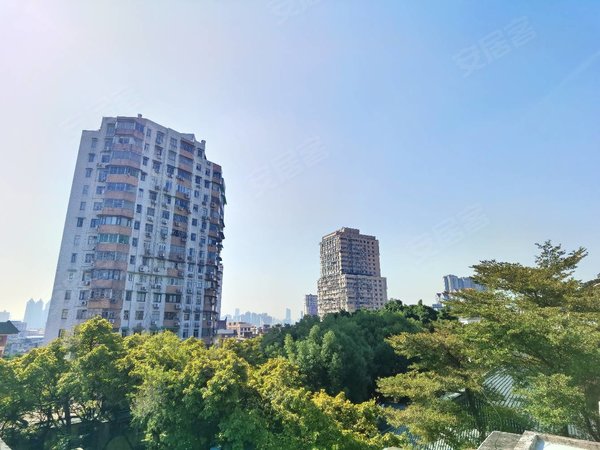 广州越秀东山口寺贝通津1号大院东山口!