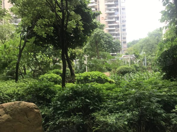 深圳光明公明楼村花园(二期)楼村花园小区 164平可居家办公 绿水千山
