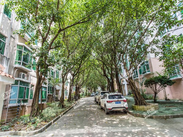 深圳罗湖布心绿景山庄新上,绿景山庄精装两房,视野好,光线充足,居家