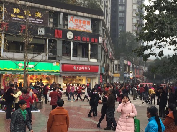 【多图】东海长洲b区,弹子石租房,东海长洲b区 2室2厅2卫,南岸租房