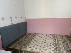 眉山仁寿县街心花园天梯24号小区 1室1厅1卫 35平 南北通透出租房源真实图片