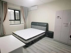 曹县曹县城区曹城城区无中间费 银座旁 幸福人家精装单间出租房源真实图片