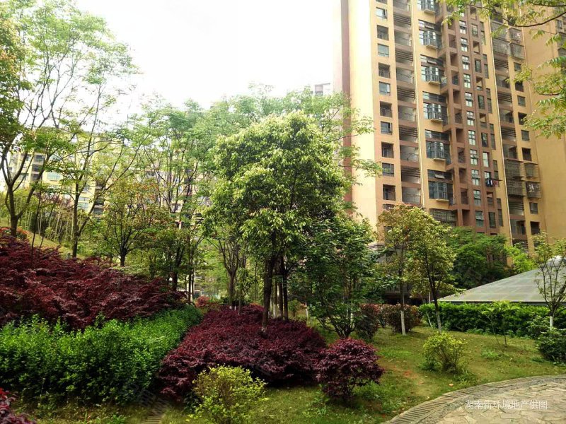 8万,1室2厅,1卫,48平米-长沙安居客