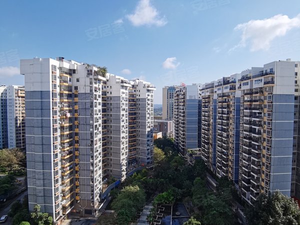 【多图】凤岭名园,凤岭北租房,近万象美泉1612旁 凤岭名园 精装1房