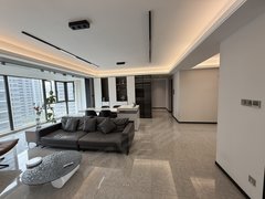合肥滨湖新区新省府质感拉满!明星楼盘 珺和府 云端横厅 全景落地窗 租房必看!出租房源真实图片