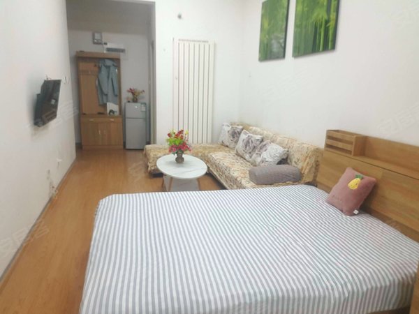 西市场租房,卢浮公寓 1室1厅1卫 电梯房 精装修43平米,槐荫租房-济南