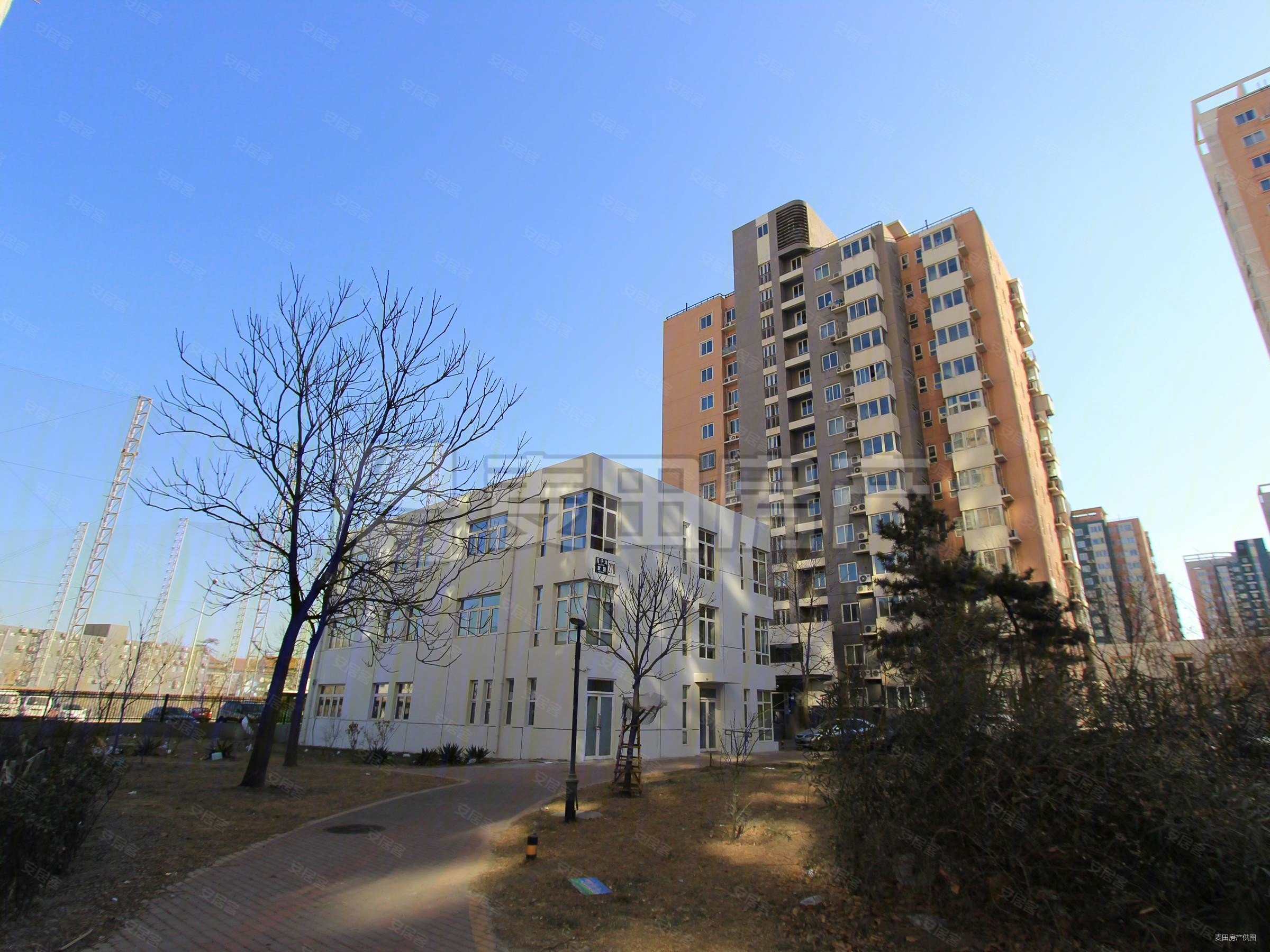 3室1厅百子湾家园b区精装修