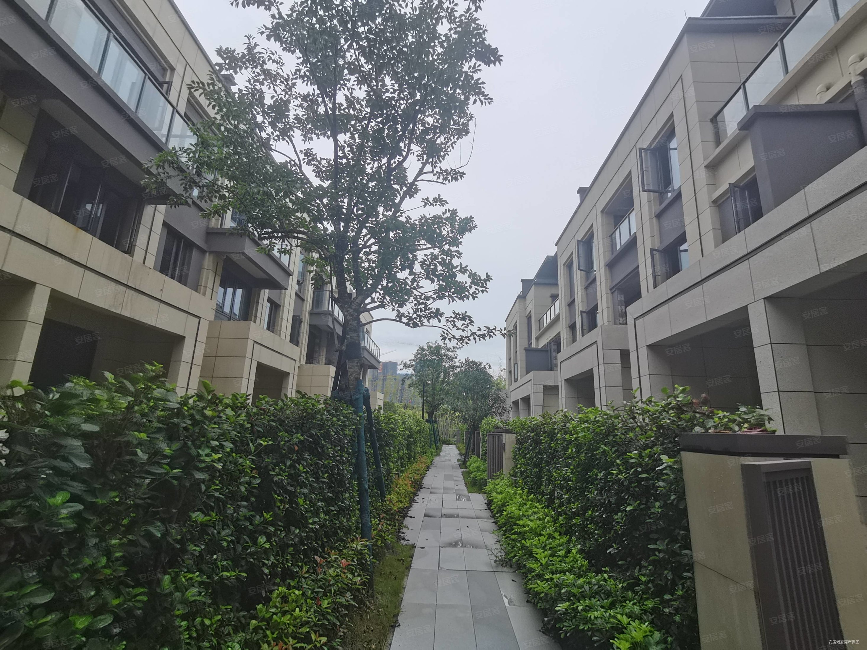 金辉优步东方别墅