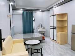 惠州惠城上排全新精装电梯公寓 家具家电齐全 拎包入住出租房源真实图片