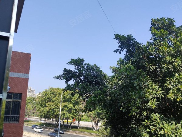 广州番禺大石礼村东路24号自建房三号线番禺大石 礼村 豪华装修一房一