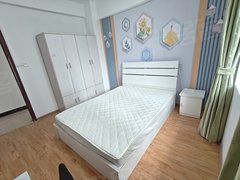 合肥新站元一名城元一名城C区 淮南路地铁口 押一付一 可做饭 拎包入住可月付出租房源真实图片