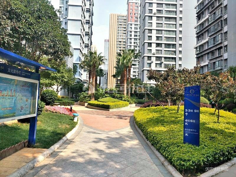 红星国际晶品 普通 电梯房 3室 南北通透 看房方便