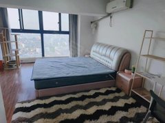 扬州江都龙川街揽月国际电梯复式2室精装拎包入住出租房源真实图片
