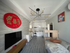 五洲国际 橄榄城 正规一居室 豪华装修 出租