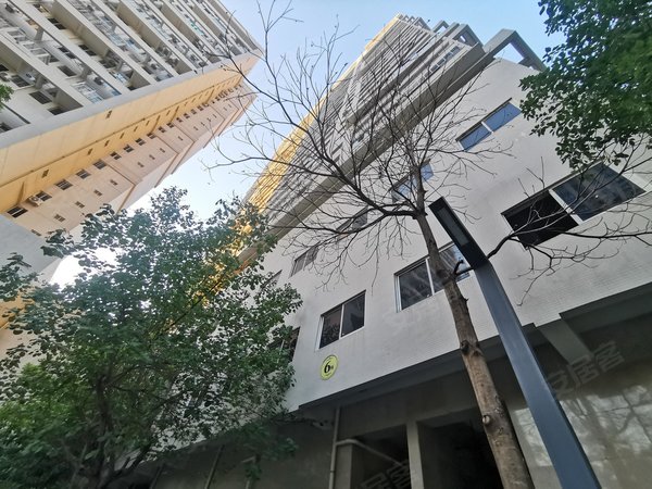 泉州洛江万安街道阳光国际广场洛江区政府旁 阳光国际广场两房 1300块