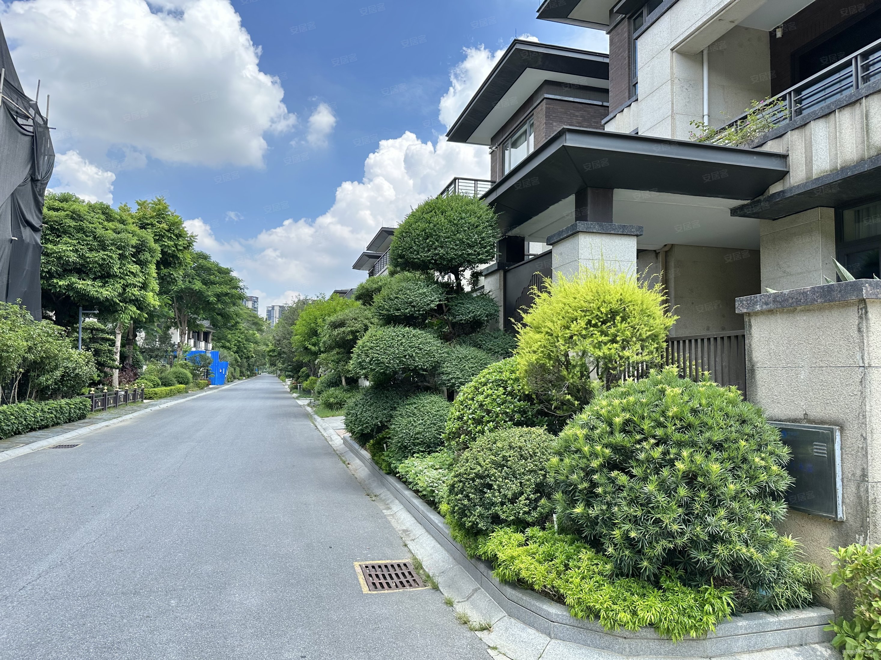 网>佛山二手房>顺德二手房>大良新城区二手房>华侨城天鹅湖(别墅)>