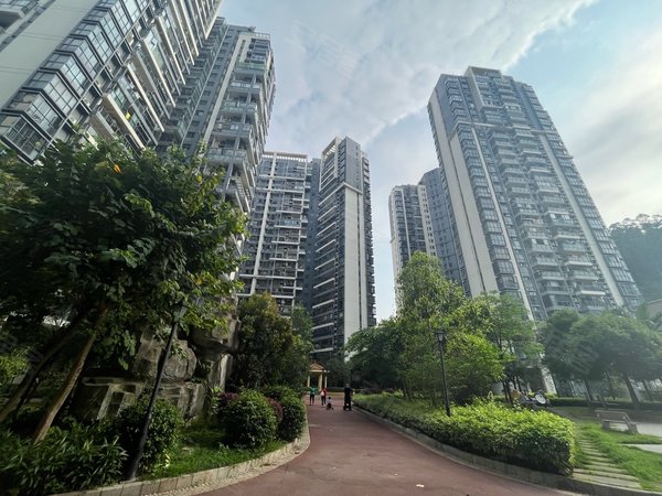 深圳龙华大浪龙军花园急急急!