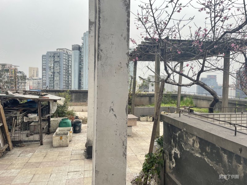 华新都市花园二手房,298万,6室2厅,3卫,260平米-重庆安居客