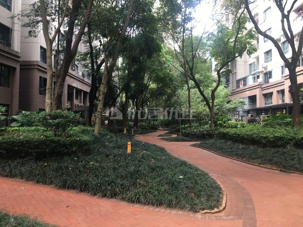 南宁青秀凤岭北荣和大地二组团阳光里荣和大地 精装三房 齐配出租 高