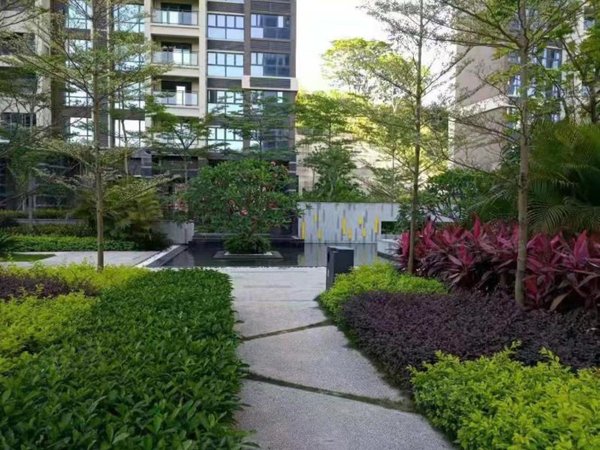 【多图】珑门,观澜租房,珑门名苑三房,九龙山体育公园旁,家私家电全齐