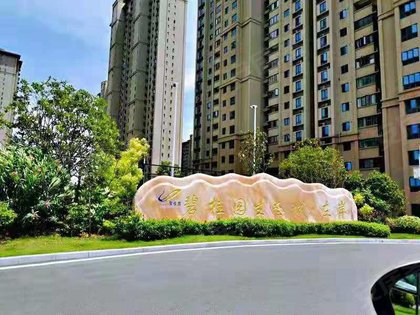 碧桂园生态城左岸,夏芒路28号 - 武汉碧桂园生态城左岸二手房,租房